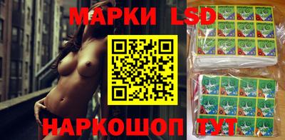 крисы Вязьма