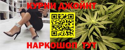 крисы Вязьма