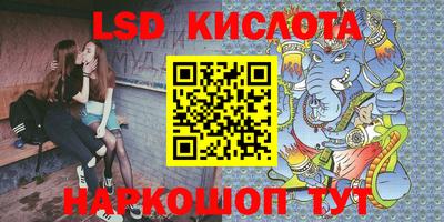 крисы Вязьма