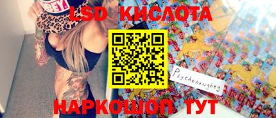 крисы Вязьма