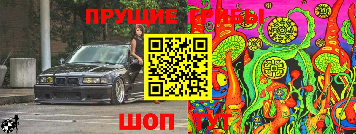 Балашов  Галлюциногенные грибы ЛСД  Псилоцибиновые грибы Psilocybe  Вход с VPN 