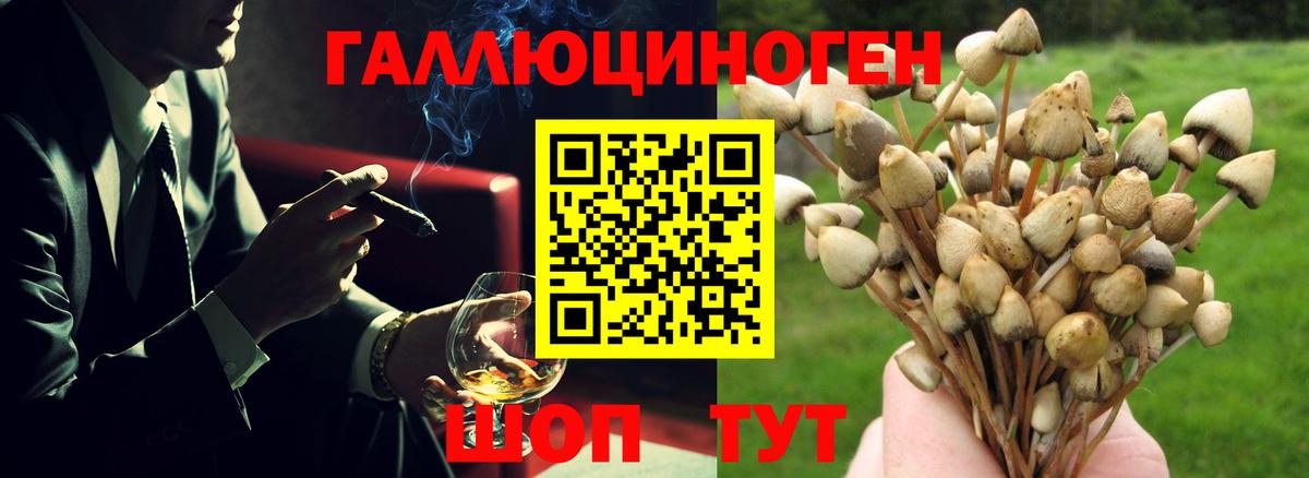 Псилоцибиновые грибы ЛСД Балашов