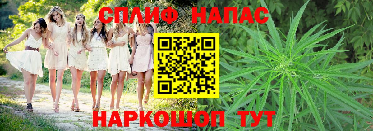 Конопля марихуана Балашов